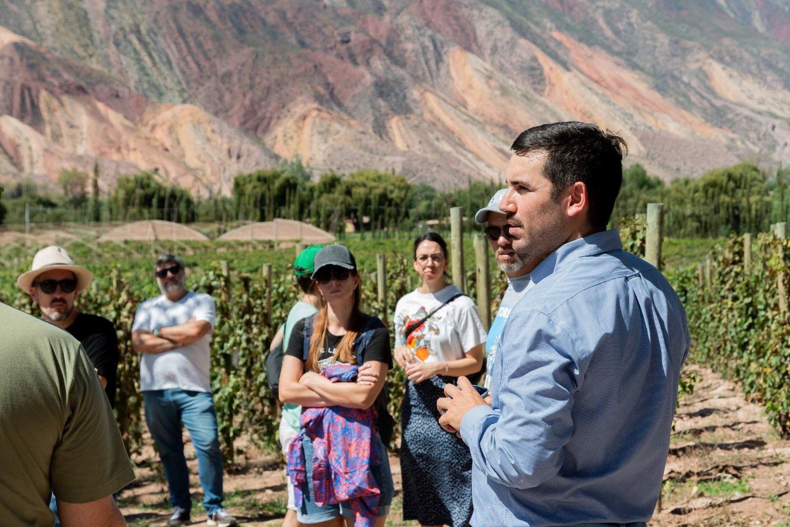 Visita guiada en Bodega El Bayeh